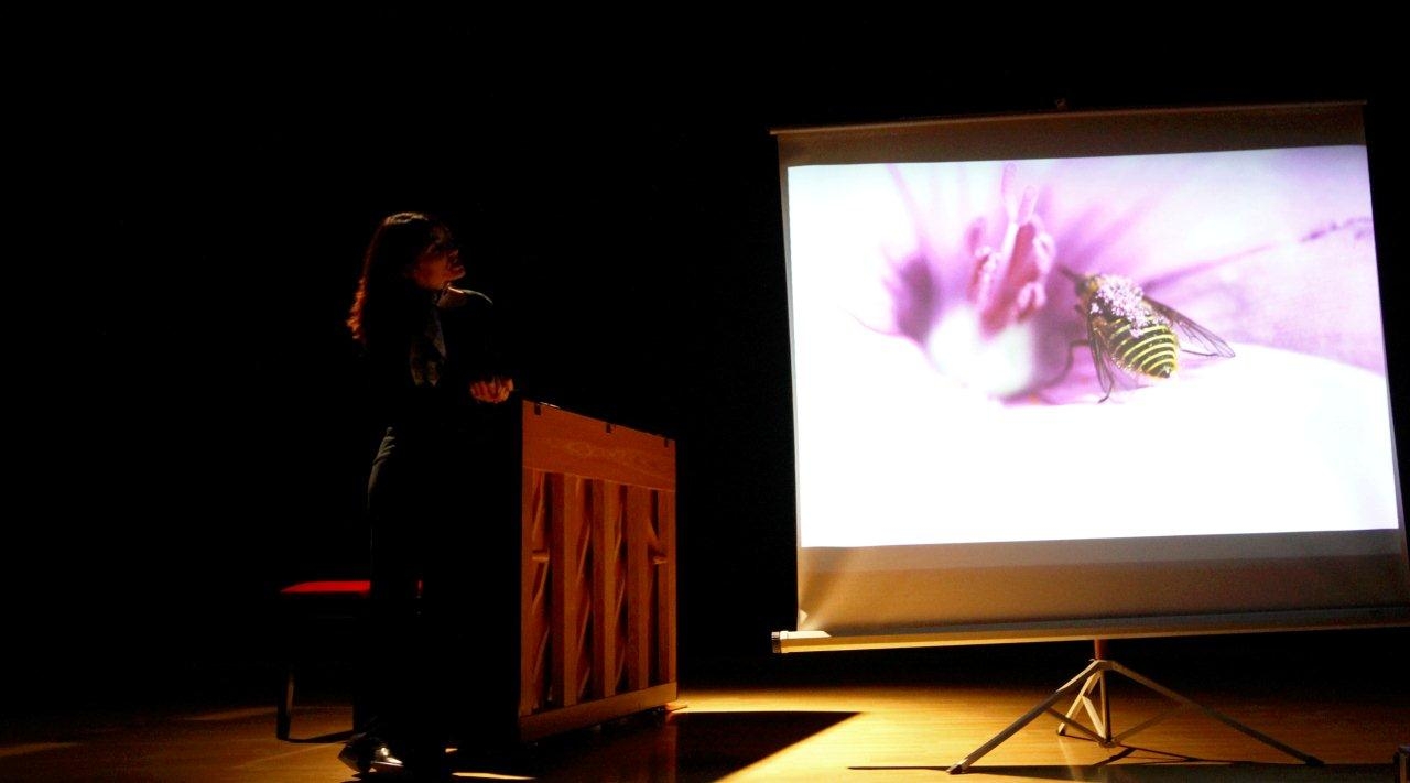 LA EXPERIENCIA -CAJAS DE LUZ- CON FOTOGRAFÍAS DE JESÚS POZO Y MÚSICA DE LOLA BARROSO EN EL CENTRO CULTURAL DE VILLAVERDE (MADRID)